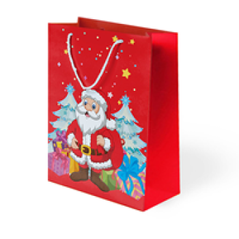 25x30x9 Karton Çanta 10lu -Noel Baba- 25x30x9 Karton Çanta 10lu -Noel Baba-