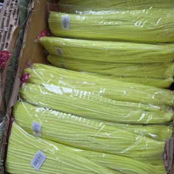 TEK RENK 30CM ŞÖNİL 100LÜ -A.SARI