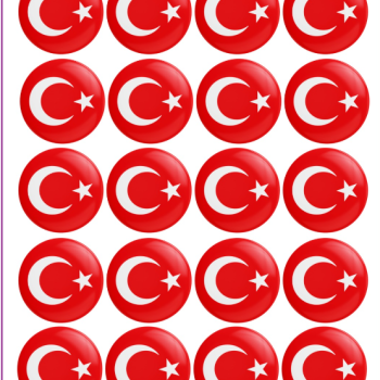 ROZET AYYILDIZ TÜRK BAYRAĞI 20Lİ -M06 ROZET AYYILDIZ TÜRK BAYRAĞI 20Lİ -M06