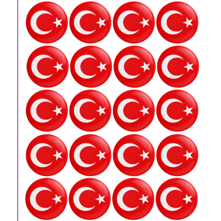 ROZET AYYILDIZ TÜRK BAYRAĞI 20Lİ -M06