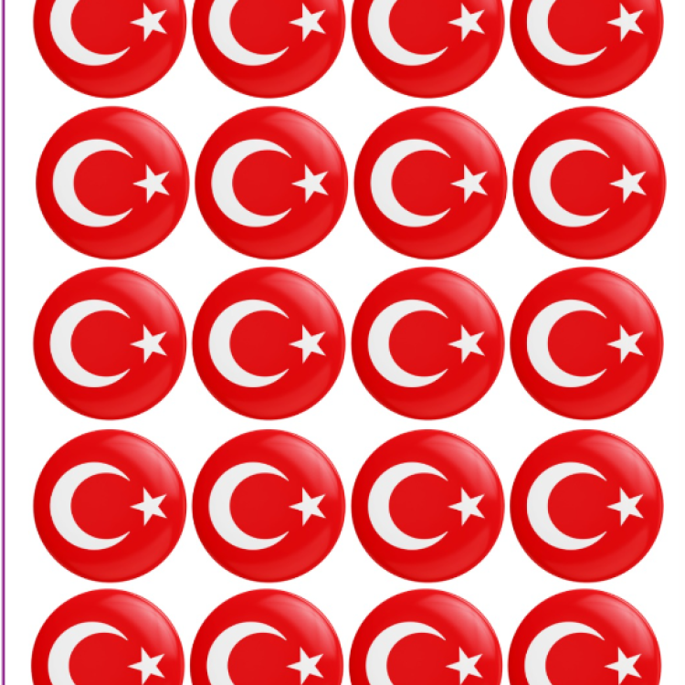 ROZET AYYILDIZ TÜRK BAYRAĞI 20Lİ -M06