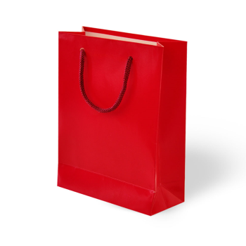 20x25x8 Karton Çanta 24lü -Kırmızı- 20x25x8 Karton Çanta 24lü -Kırmızı-