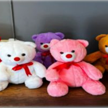 B003 AYICIK 55CM PELUŞ B003 B003 AYICIK 55CM PELUŞ B003