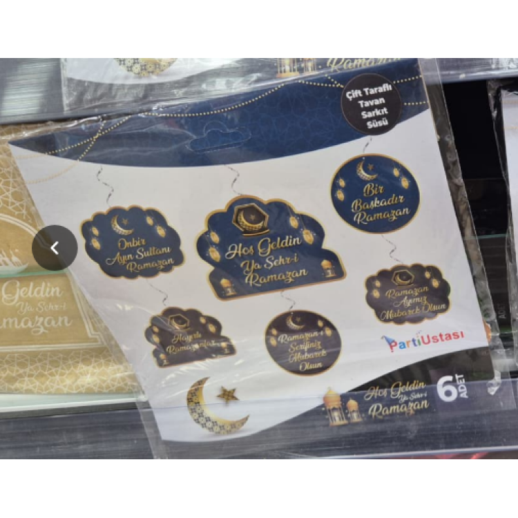 6 LI ÇİFT TARAFLI SARKIT SÜS -USTA- 6 LI ÇİFT TARAFLI SARKIT SÜS -USTA-