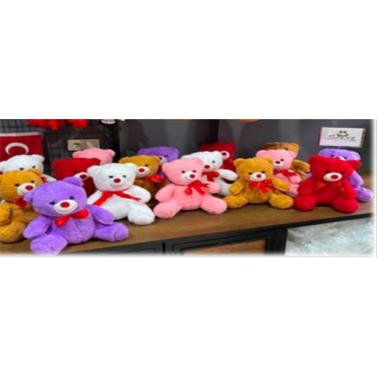 B004 KALPLİ AYICIK 35CM PELUŞ B004