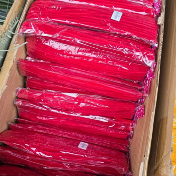 TEK RENK 30CM ŞÖNİL 100LÜ -KIRMIZI