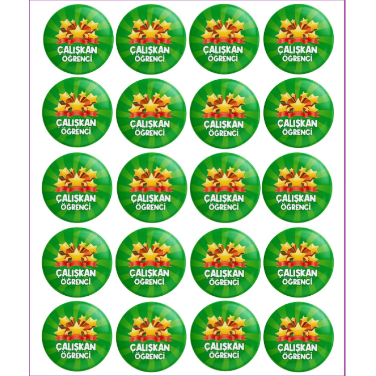 MOTİVASYON ROZETİ ÇALIŞKAN ÖĞRENCİ 20Lİ -M06