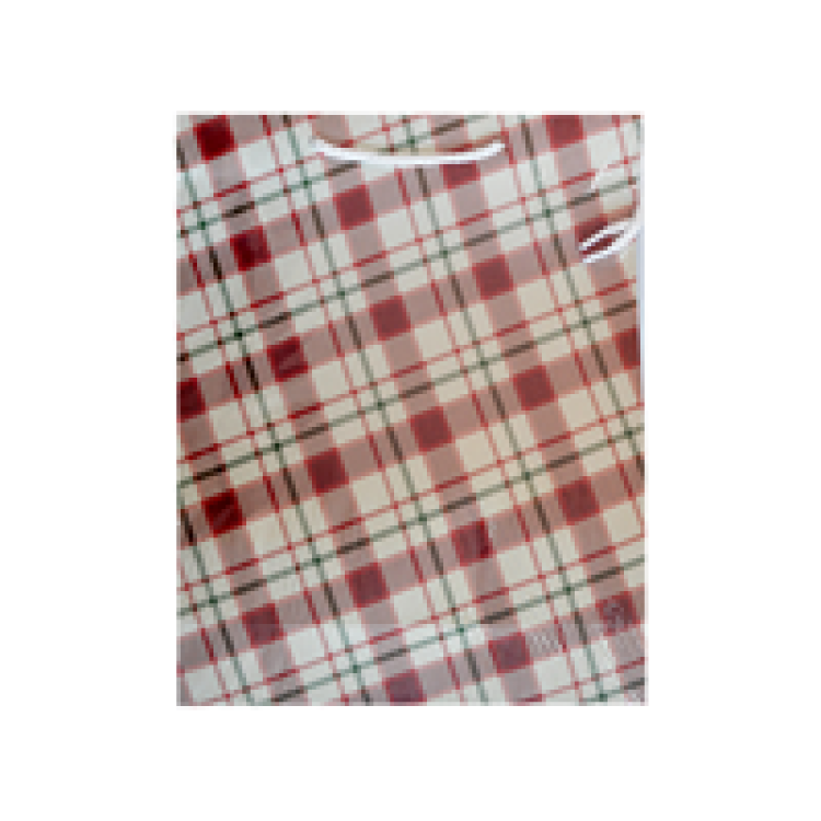 25x30x9 Desenli Karton Çanta 10lu -Ekose 4-