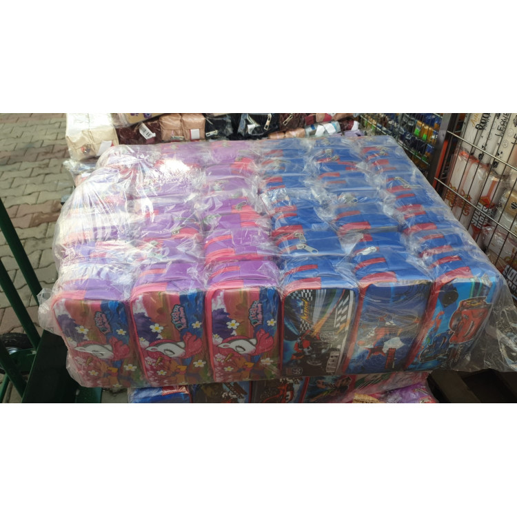 KALEMLİK 2 GÖZ EKO  ÇİZGİ FİLM KIZ+ERKEK *K