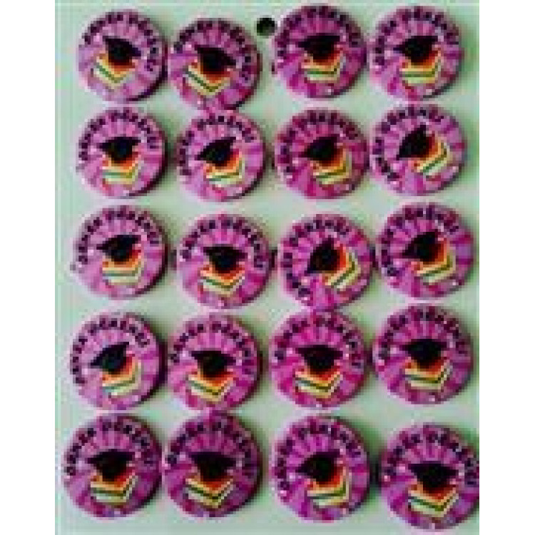 rozet örnek öğrenci yazılı *20